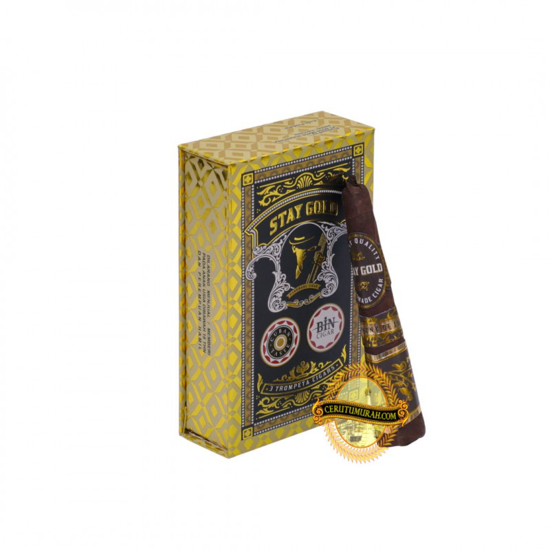 STAY GOLD TROMPETA PACK OF 3