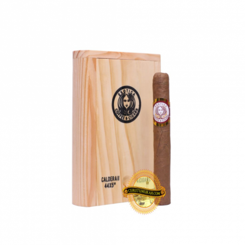 EXOTICA CALDERA II BOX OF 4